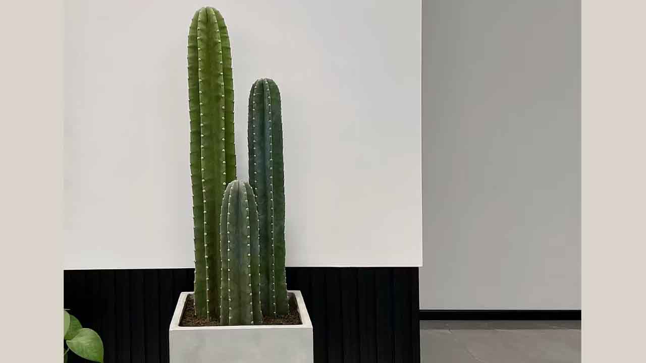量天尺